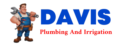 Trusted plumber in CHAMISAL